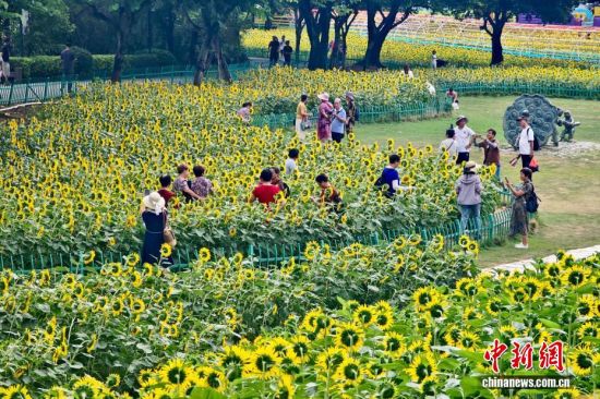 9月22日，福建福州，民众在花海公园参观游玩。中新社记者 王东明 摄