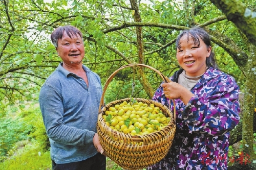 这场乡村振兴现场会有看头 这场乡村振兴现场会有看头