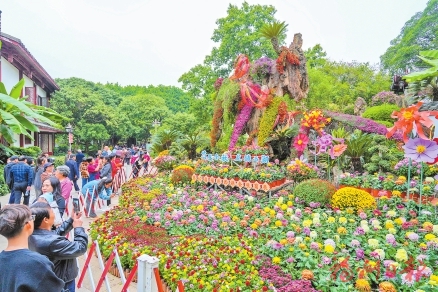福州西湖菊展7日开幕