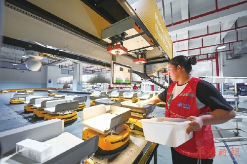 再创新高！平潭仓“双十一”订单达307万票