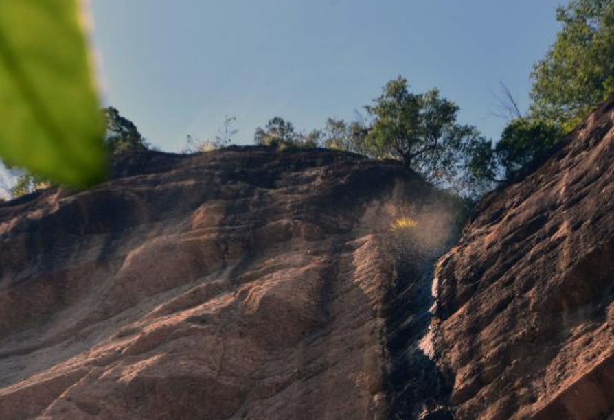 免门票政策持续发力 福建武夷山小众游受欢迎