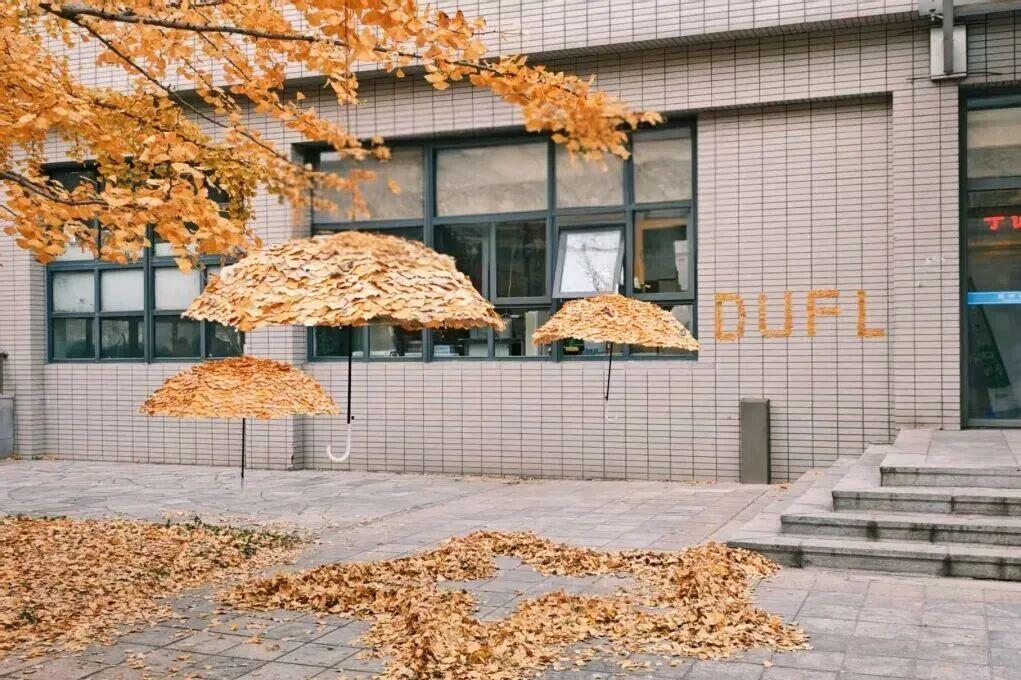 “银杏伞”爆火！更惊艳的福建校园秋景藏在这→