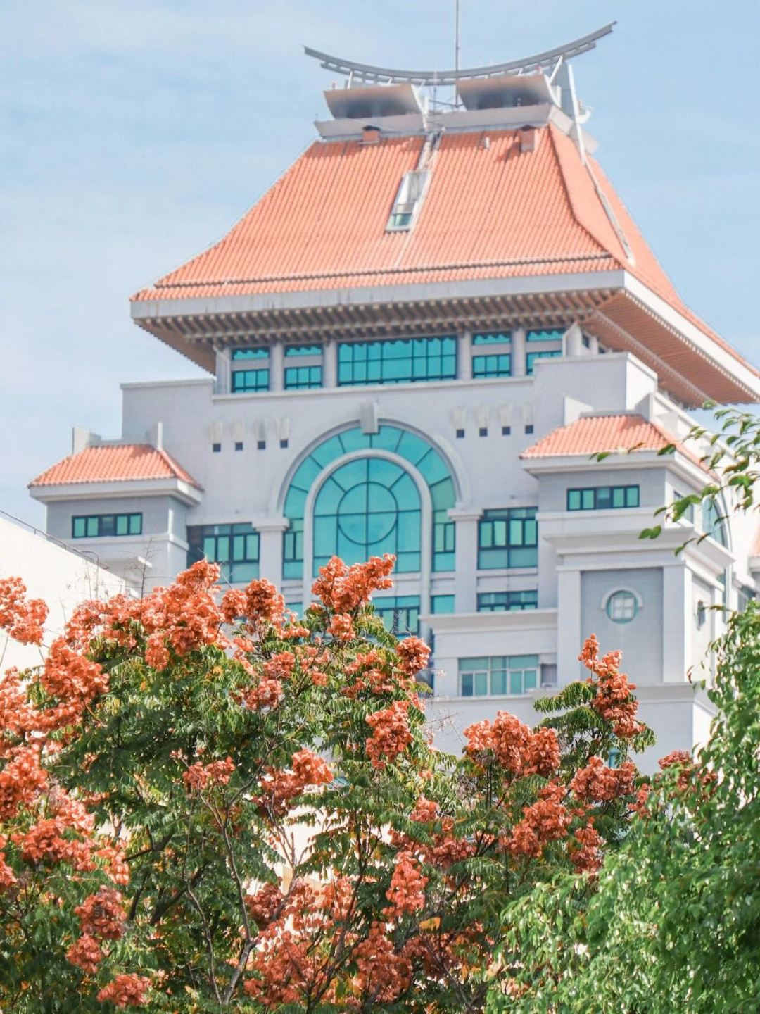 “银杏伞”爆火！更惊艳的福建校园秋景藏在这→