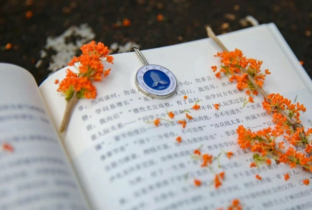 “银杏伞”爆火！更惊艳的福建校园秋景藏在这→