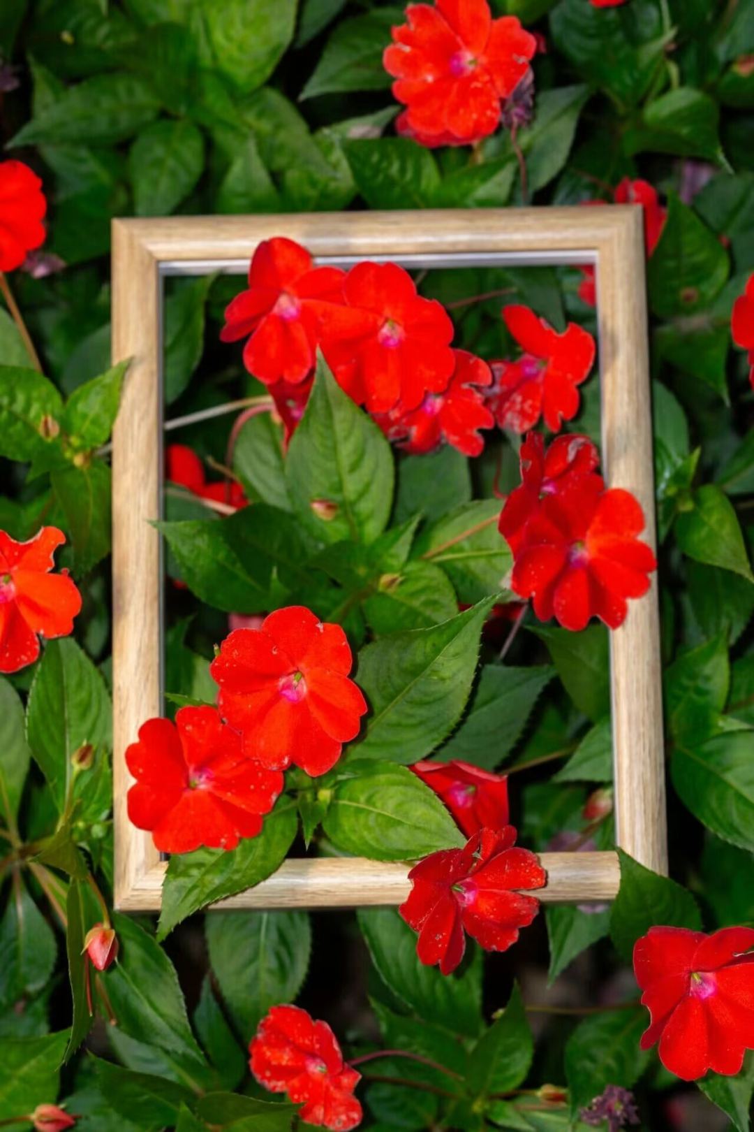 “银杏伞”爆火！更惊艳的福建校园秋景藏在这→