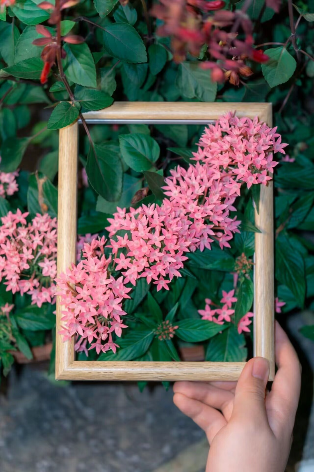 “银杏伞”爆火！更惊艳的福建校园秋景藏在这→