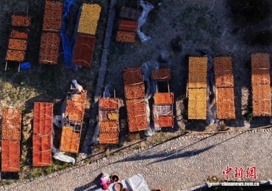 图为村民正忙着给晒制的柿饼翻面。(无人机照片)中新社记者 张斌 摄
