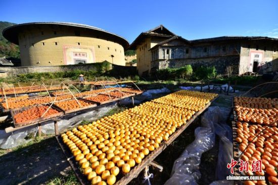 图为村民在土楼旁晾晒的柿子。中新社记者 张斌 摄
