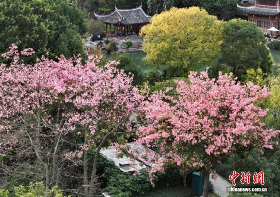 12月5日,福建福州黎明湖公园五彩斑斓,构成浓墨重彩的初冬画卷,美不胜收,成为市民和游客休闲的好去处。(无人机照片)中新社记者 张斌 摄 12月5日,福建福州黎明湖公园五彩斑斓,构成浓墨重彩的初冬画卷,美不胜收,成为市民和游客休闲的好去处。(无人机照片)中新社记者 张斌 摄