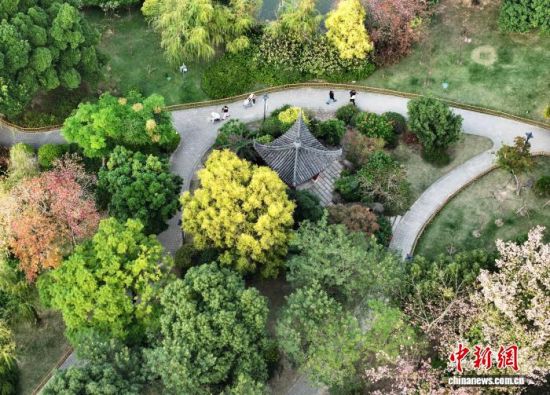 12月5日,福建福州黎明湖公园五彩斑斓,构成浓墨重彩的初冬画卷,美不胜收,成为市民和游客休闲的好去处。(无人机照片)中新社记者 张斌 摄 12月5日,福建福州黎明湖公园五彩斑斓,构成浓墨重彩的初冬画卷,美不胜收,成为市民和游客休闲的好去处。(无人机照片)中新社记者 张斌 摄