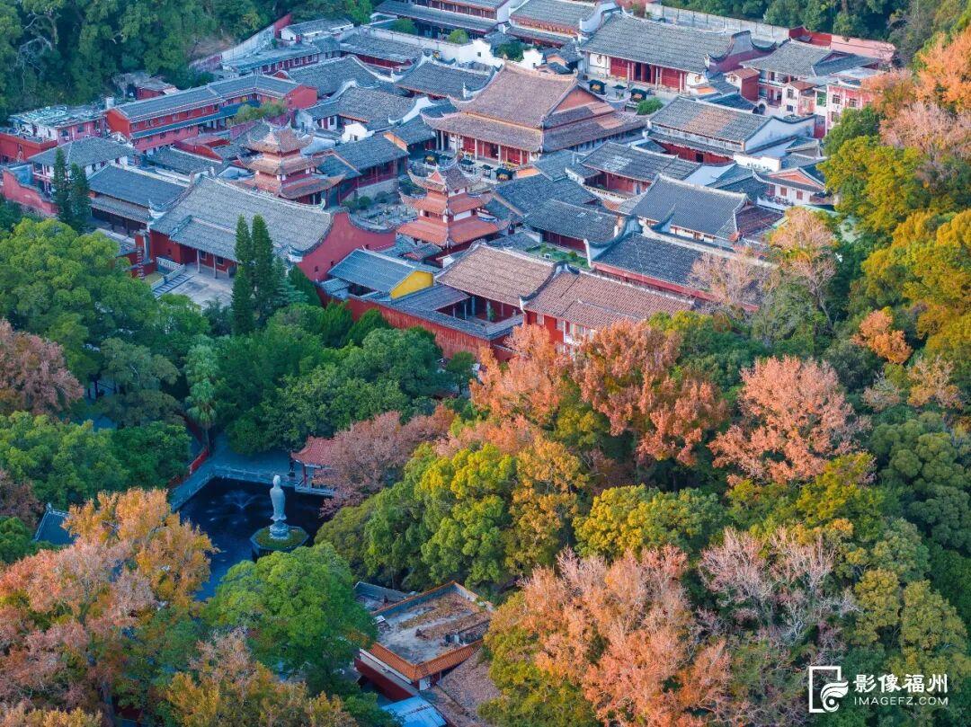 最是橙黄橘绿时!福州迎来最佳赏叶季 最是橙黄橘绿时!福州迎来最佳赏叶季