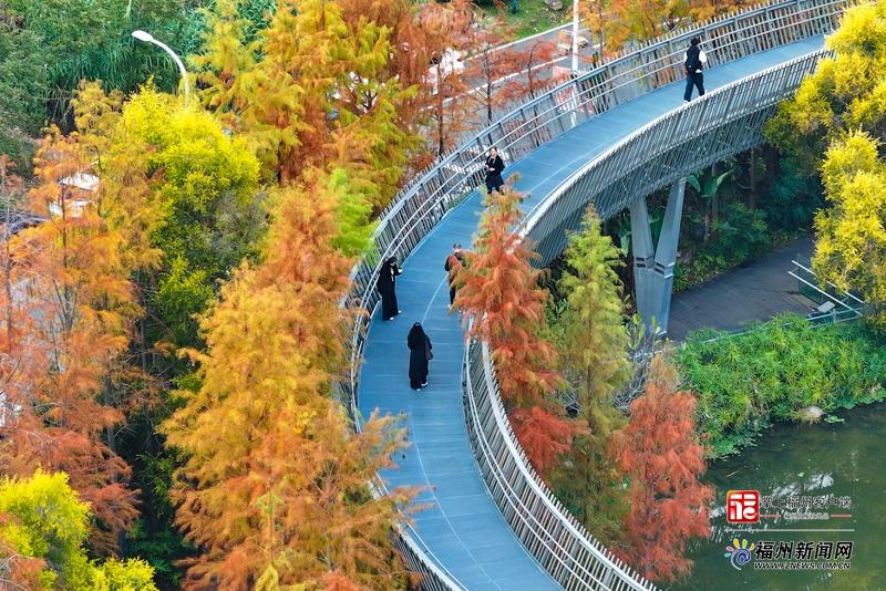 福道“焕彩”！赏景“快车道”已开通