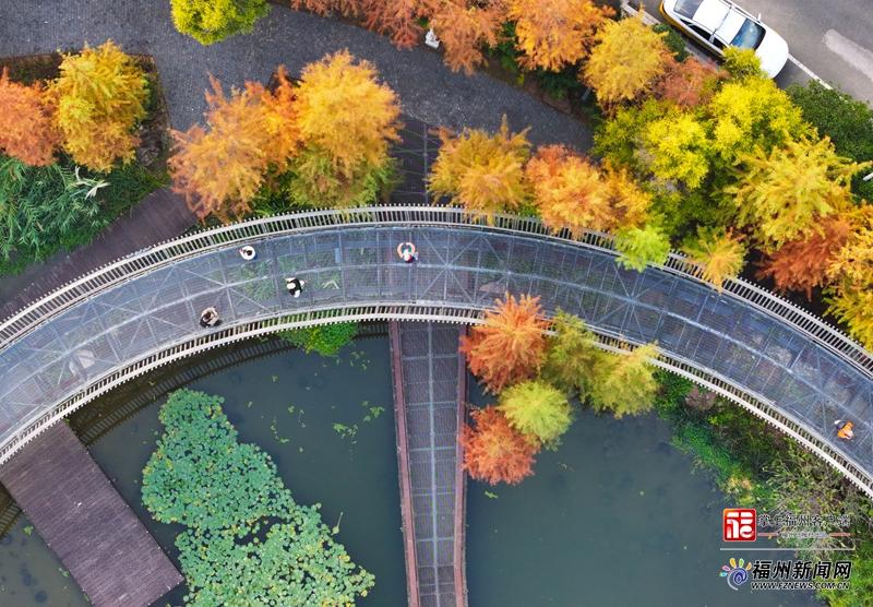 福道“焕彩”！赏景“快车道”已开通