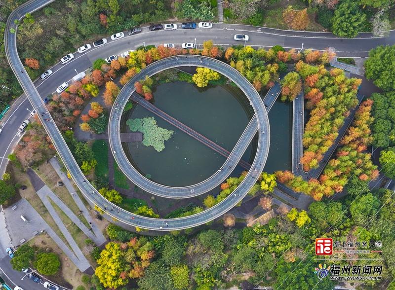 福道“焕彩”！赏景“快车道”已开通