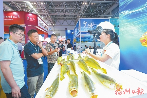 山海交响　协作共富