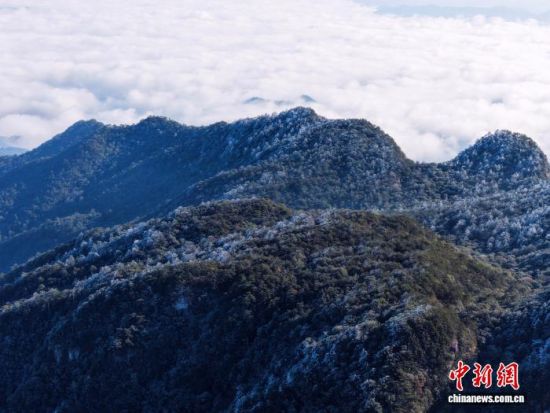 1月3日，福建南平顺昌县宝山风景名胜区云雾翻涌，山顶雾凇凝霜，冬日美景如画。(无人机拍摄)中新网记者 张丽君 摄