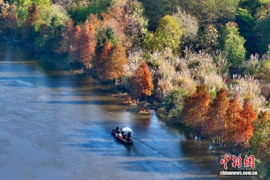 1月7日，福建福州闽侯县，一小船经过湿地公园。(无人机照片)中新社记者 王东明 摄