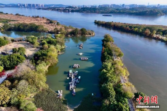 1月7日，空中航拍福建省福州市闽侯县湿地公园。(无人机照片)中新社记者 王东明 摄