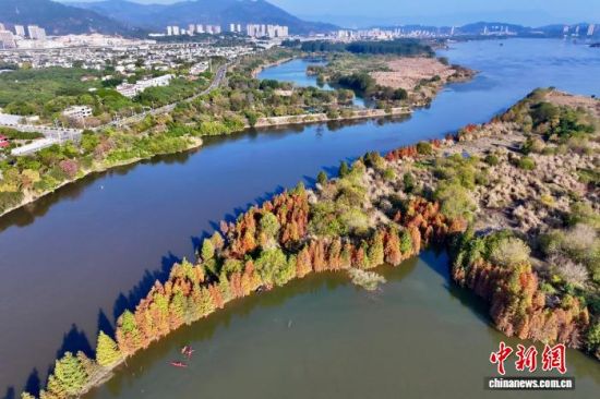 1月7日，空中航拍福建省福州市闽侯县湿地公园。(无人机照片)中新社记者 王东明 摄