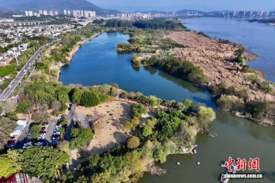 1月7日，空中航拍福建省福州市闽侯县湿地公园。（无人机照片）中新社记者 王东明 摄　