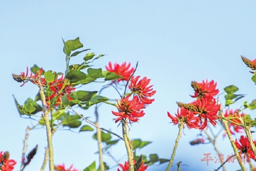 冬日山海不寂　色彩诗意未眠