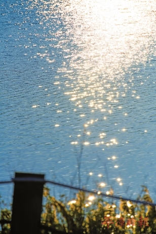 冬日山海不寂　色彩诗意未眠