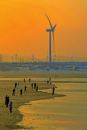 冬日山海不寂　色彩诗意未眠