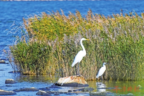 冬日山海不寂　色彩诗意未眠