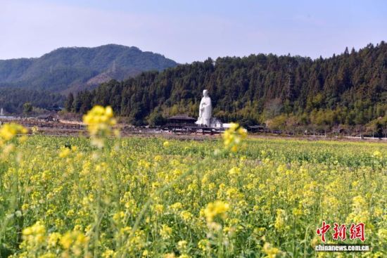 图为朱子像前油菜花开。(无人机航拍)中新网记者 张丽君 摄