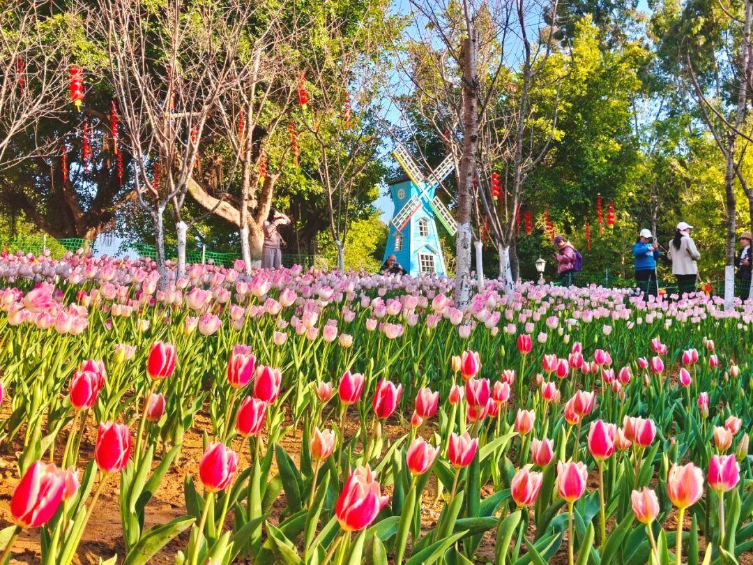 开了！开了！福州一公园上新！就在这里→