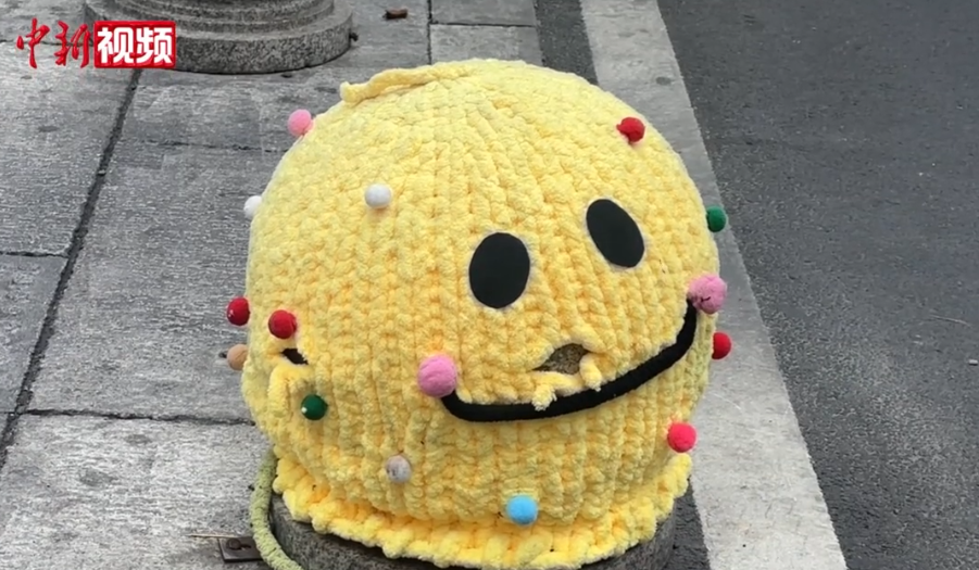 福州行道树穿上五颜六色“新毛衣”