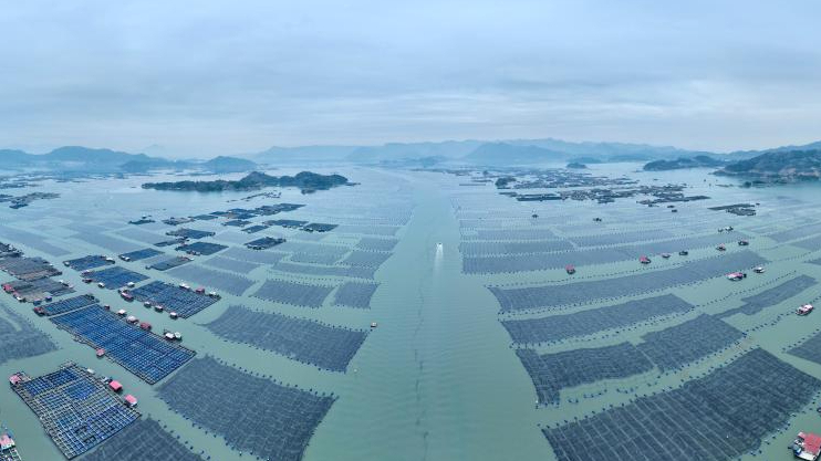 福建宁德：海上田园冬耕忙