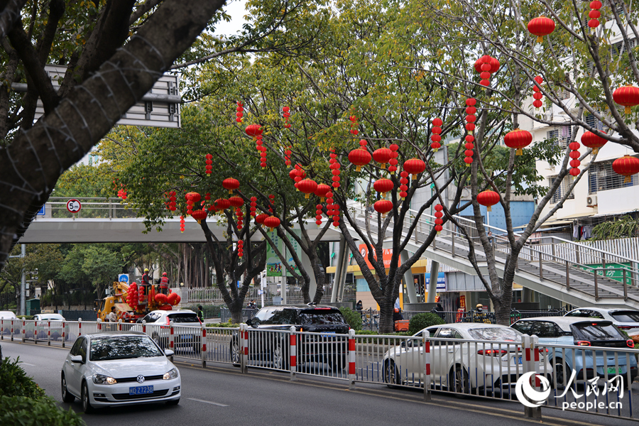 红灯笼与绿植相映成趣。人民网记者 陈博摄