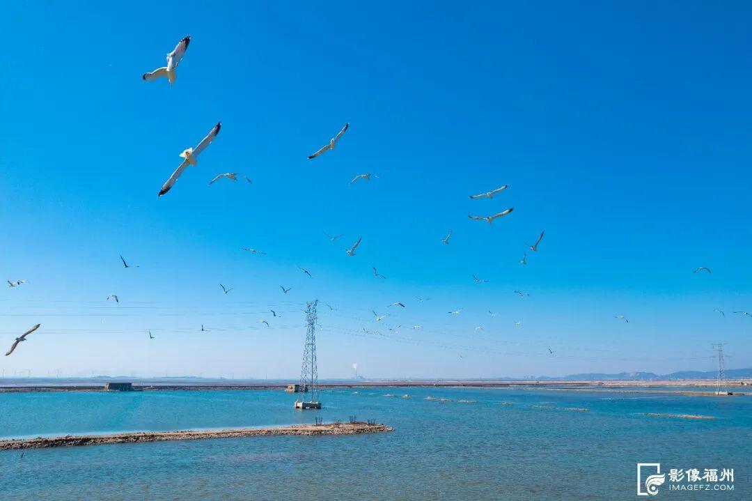 看，福州湿地美成多彩调色盘！