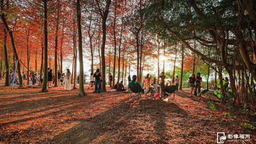 看，福州湿地美成多彩调色盘！