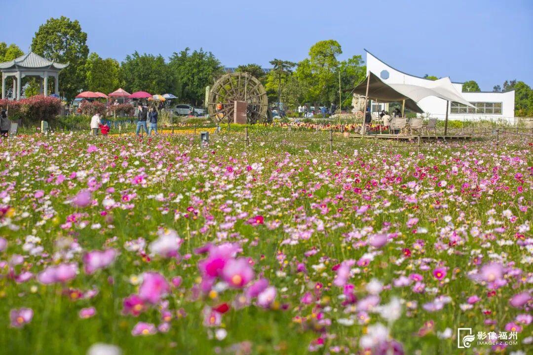 看，福州湿地美成多彩调色盘！