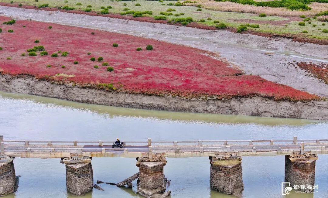 看，福州湿地美成多彩调色盘！