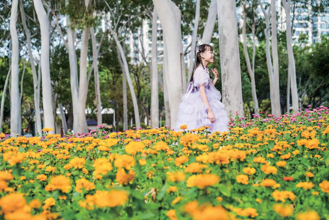 厦门多处花海“上新”