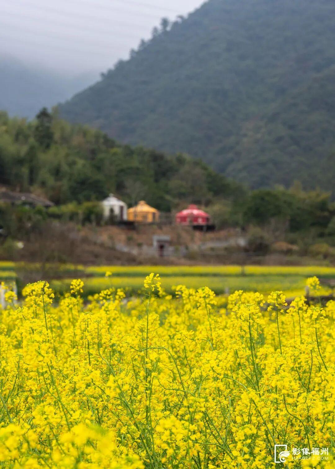3月，赏花才是春日大事！
