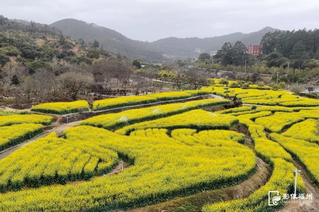 3月，赏花才是春日大事！