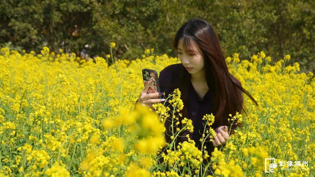 3月，赏花才是春日大事！