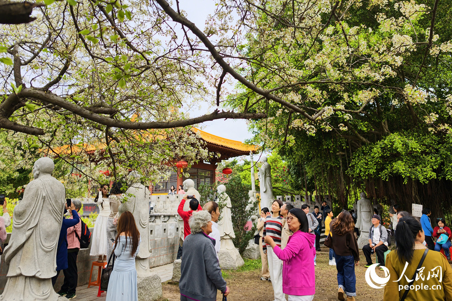 游人纷至沓来，享受闹中取静的春日美好时光。人民网记者 陈博摄