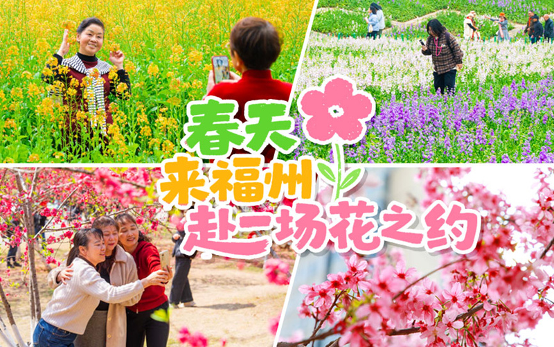  在福州，与繁花盛开的春天撞个满怀