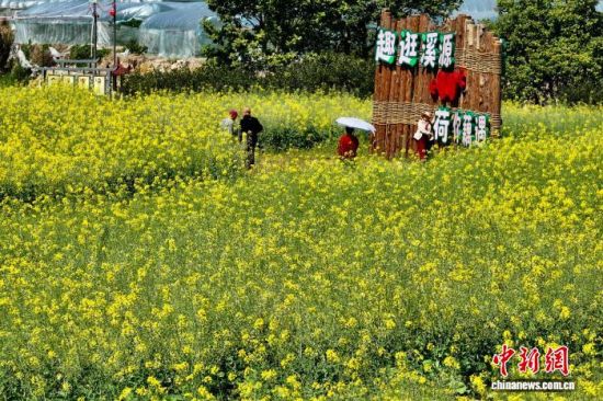 3月13日，福建福州，市民在油菜花田里赏花。（无人机照片）中新社记者 王东明 摄