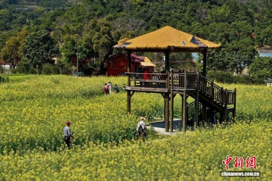 3月13日，福建福州，市民在油菜花田里赏花。（无人机照片）中新社记者 王东明 摄