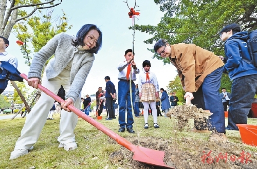 左公柳跨越千里扎根榕城