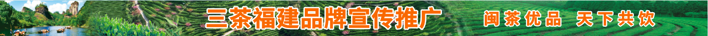 三茶福建品牌宣传推广——闽茶优品 天下共饮