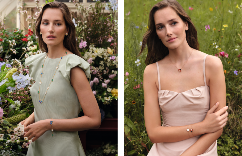 69c646a6db328.png 69c646a6db328.png