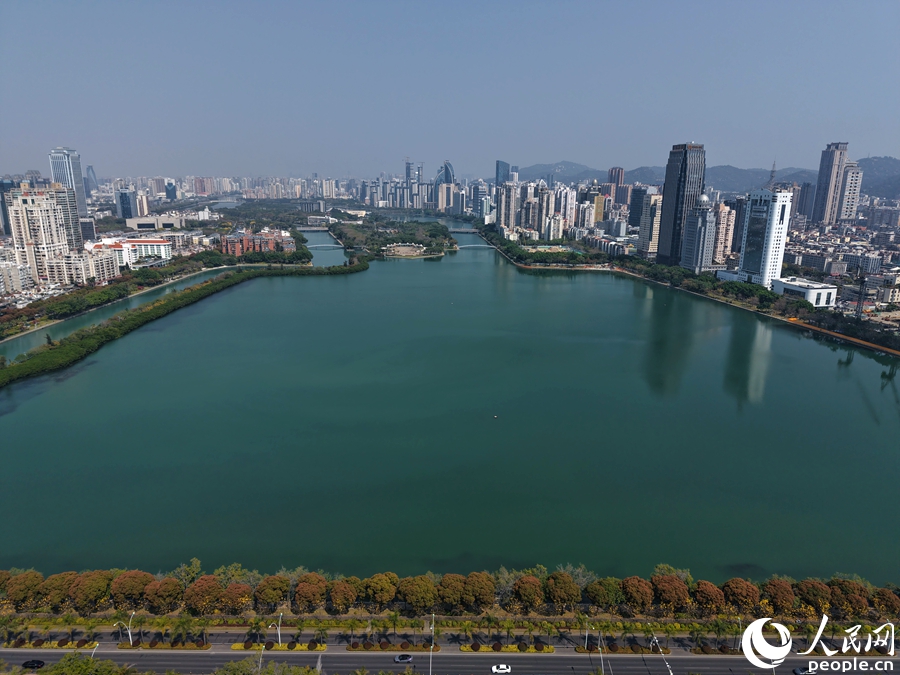 美丽蝶变后的筼筜湖,成为“厦门会客厅”。人民网记者 陈博摄