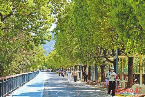 绣花筑景 实干兴城 绣花筑景 实干兴城